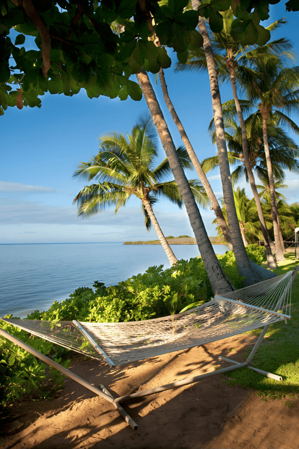 A hammock on a tropical beach with palm trees and ocean view, perfect for relaxation.