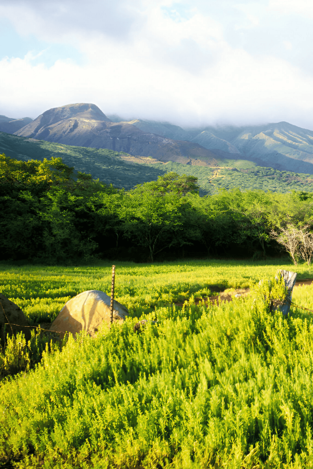 Lush green landscape with mountains and vibrant vegetation, perfect for outdoor exploration and adventure.