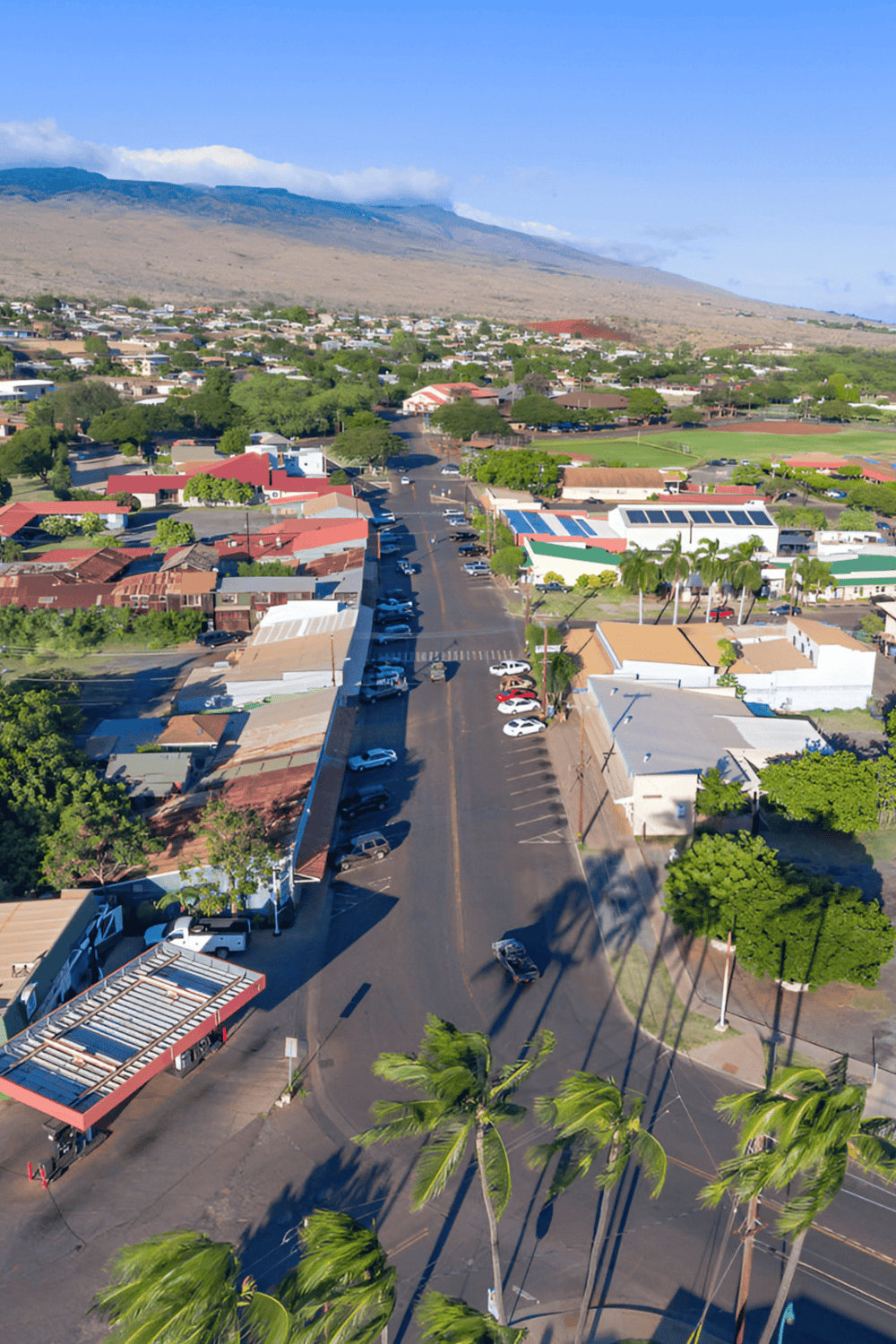 Vibrant cityscape with colorful buildings, palm trees, and mountain backdrop, showcasing a scenic island community.
