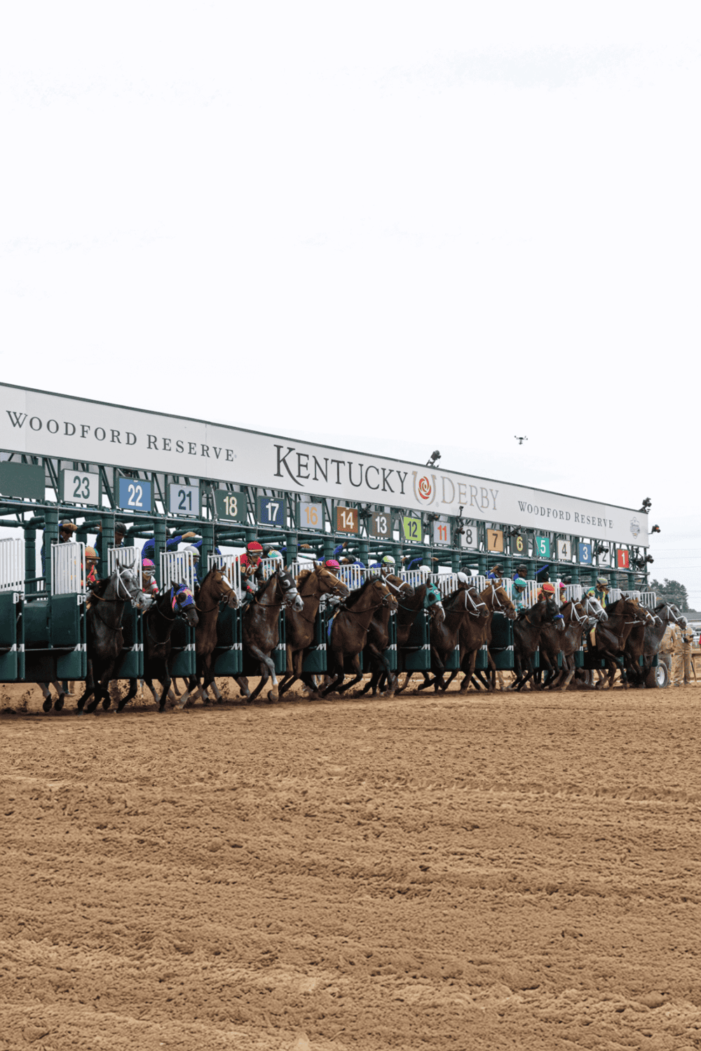 Horse race at Kentucky Derby starting gate, Woodford Reserve, Louisville, Kentucky, stakes race, thoroughbred horses competition.