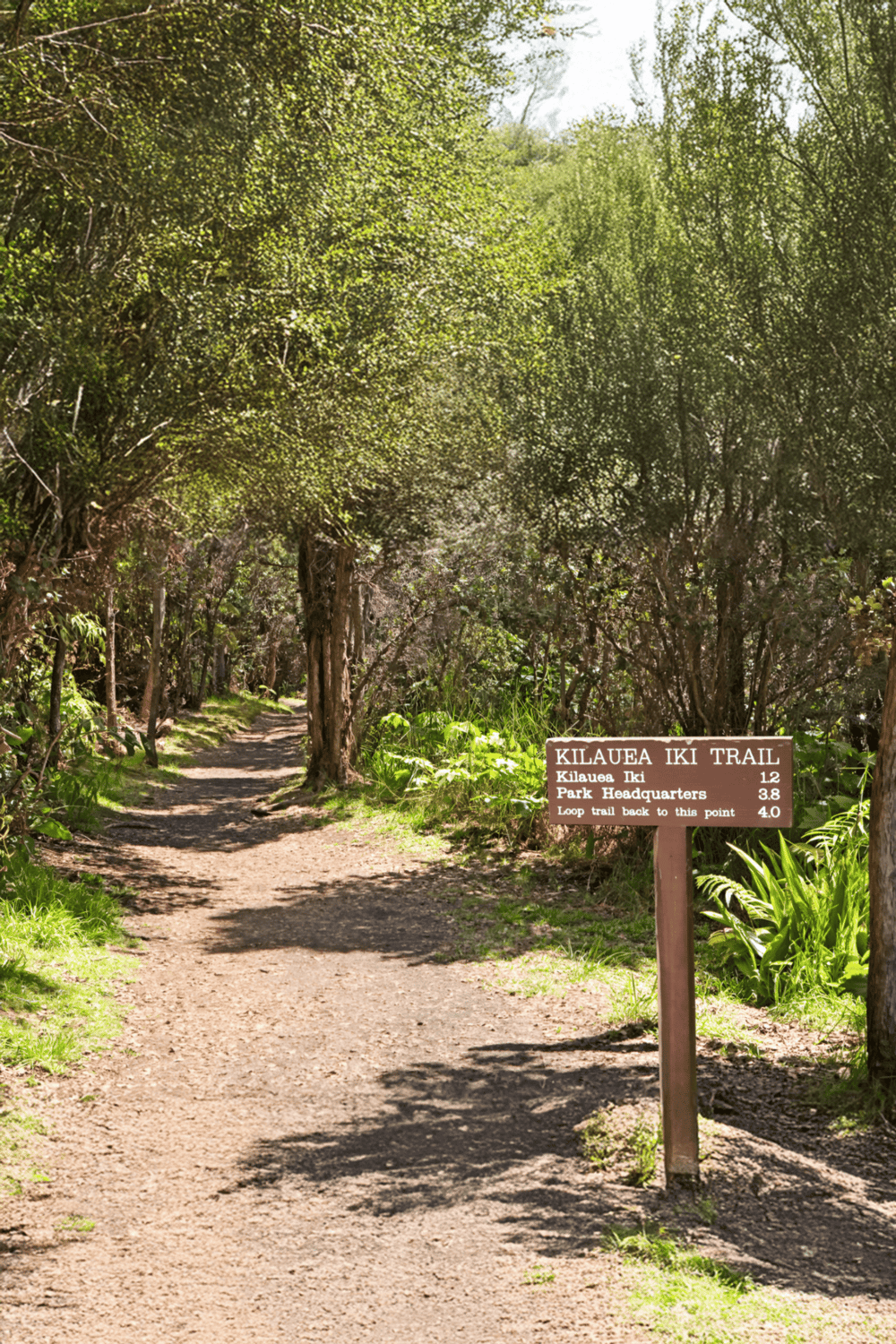 1. Hiking trail through lush trees with signpost for Kilauea Iki Trail and park info.