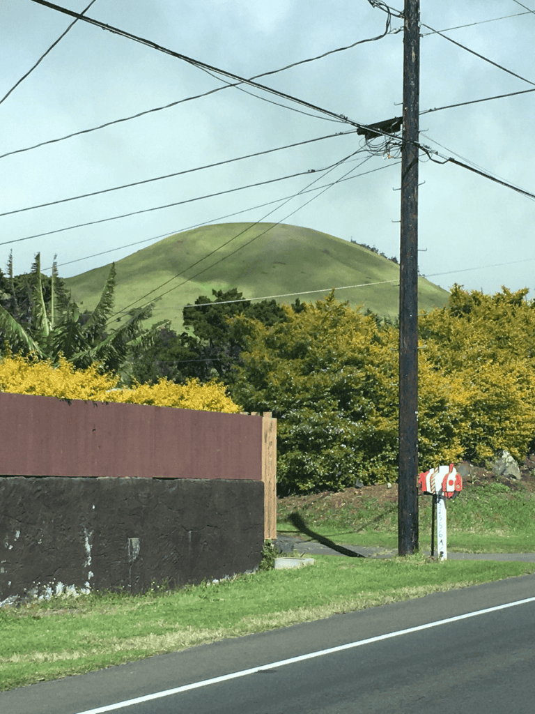 Rolling green hill with utility poles, trees, and mailbox in a serene rural landscape.