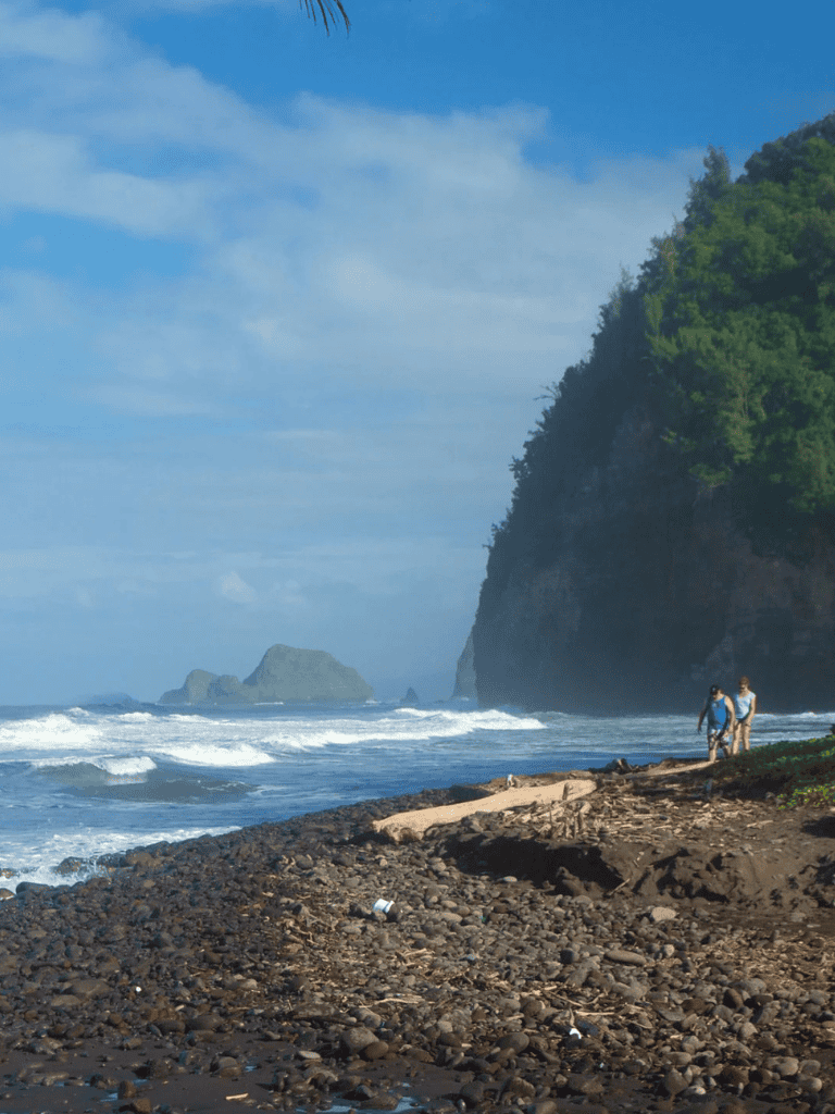 Seaside landscape with rocky shore, cliffs, and people walking on the beach at Quest for Directions.