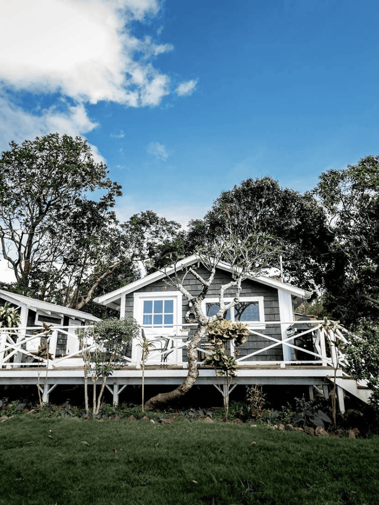 Cozy cottage with a deck, surrounded by trees and lush greenery on a sunny day.