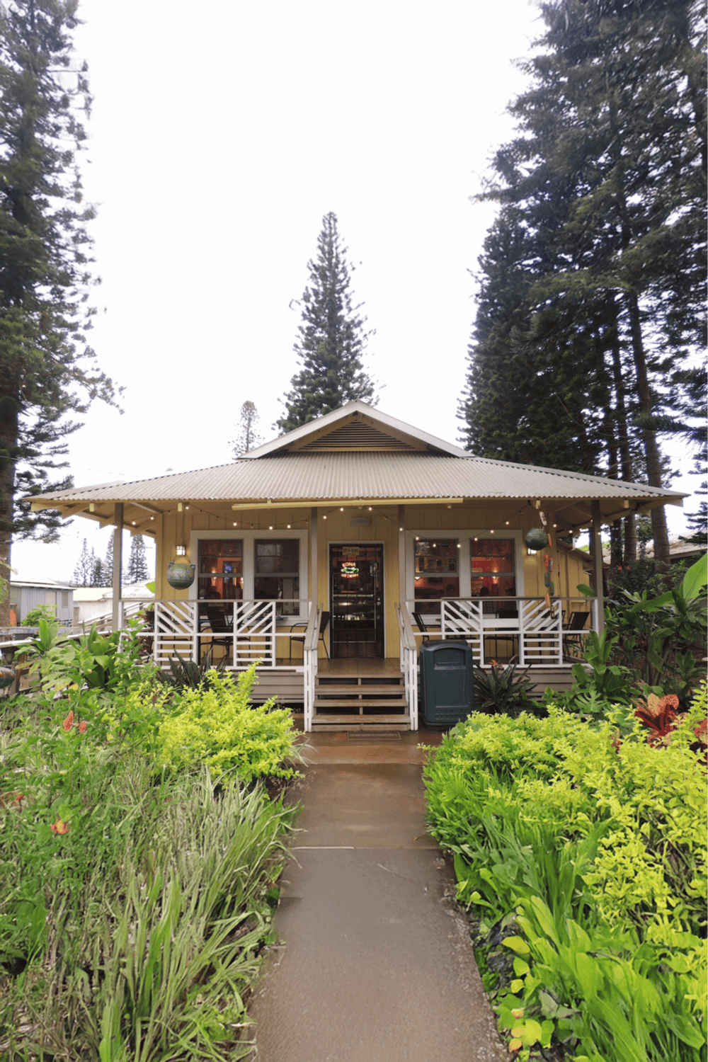 Cozy yellow house with outdoor deck, surrounded by lush greenery and tall pine trees, in a forested setting.