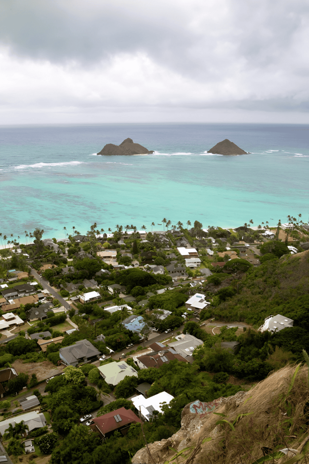 Seaside neighborhood with lush greenery and ocean views, Hawaii coast, island living, tropical scenery, scenic coastal town.