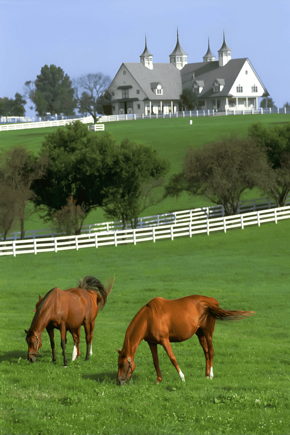 Elegant country estate with horses grazing on lush green pasture, scenic landscape with white fences, perfect for real estate or rural lifestyle.