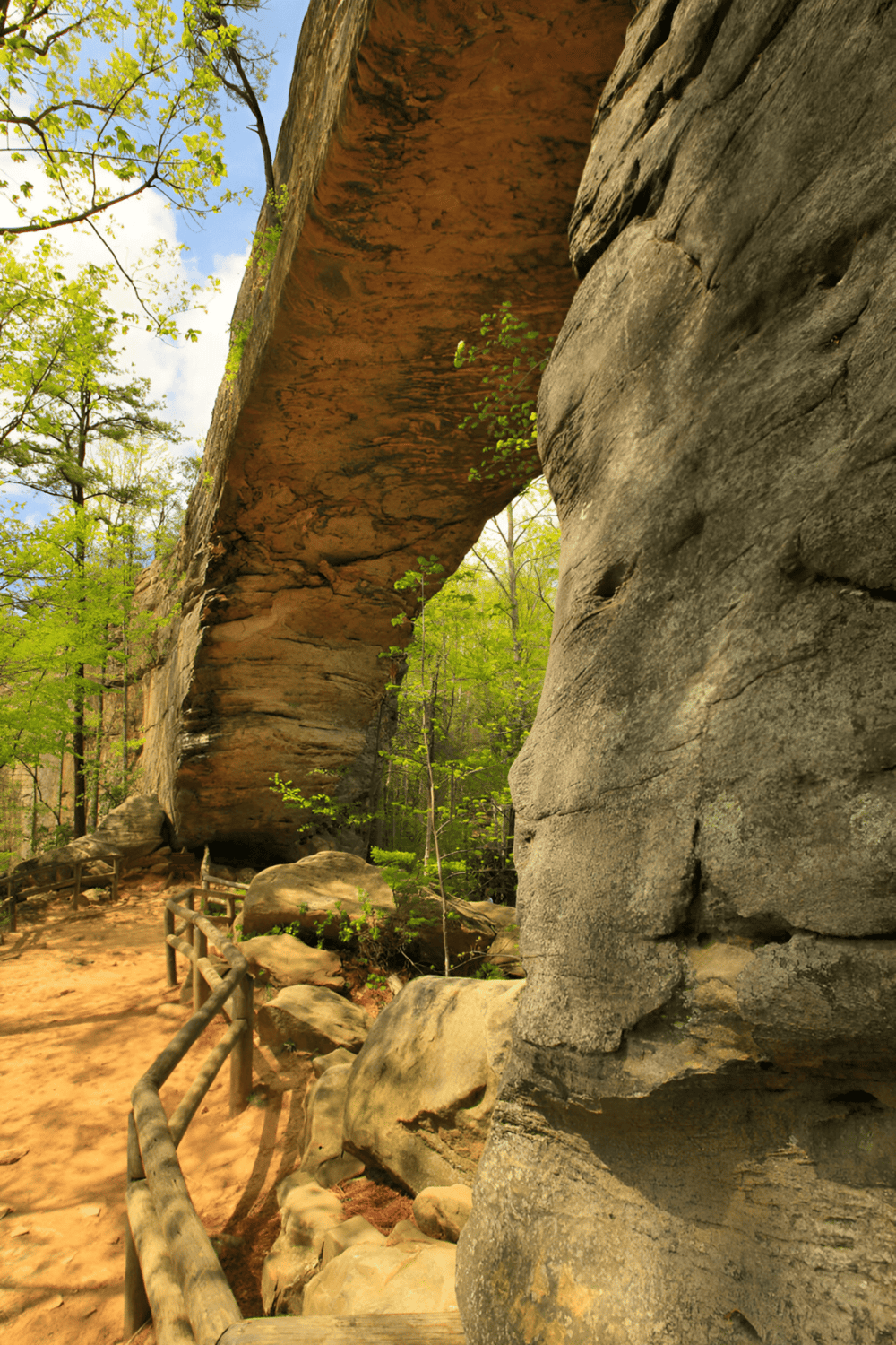 Overhanging rock formation in a lush forest with a trail and wooden railing at QuestForDirections.