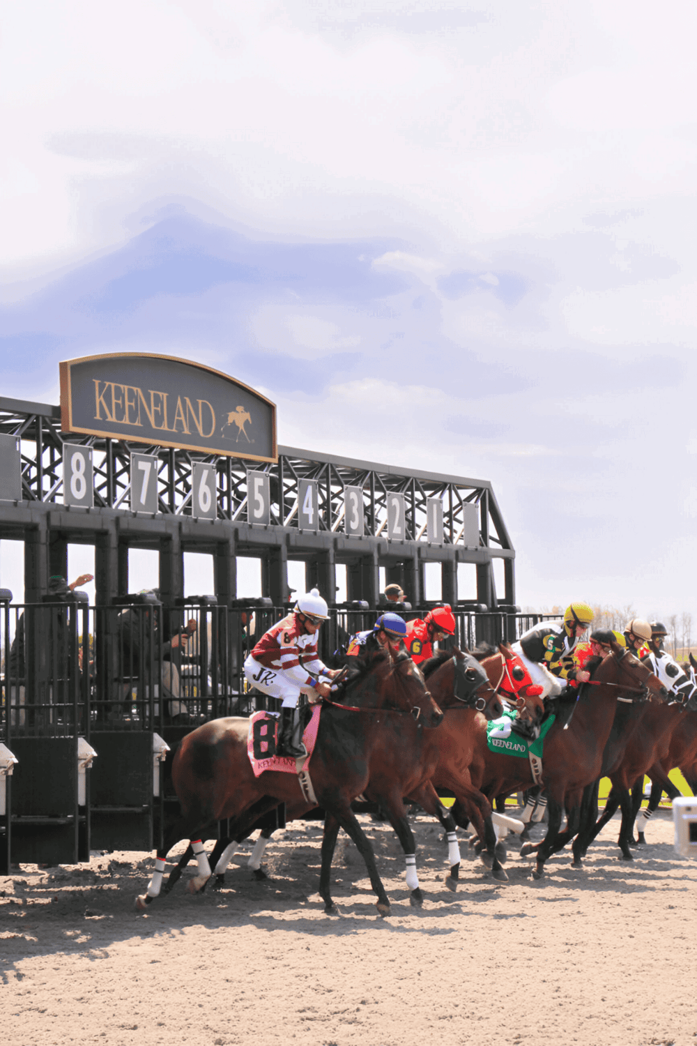 Racing horses at Keeneland racecourse with jockeys and starting gates visible.