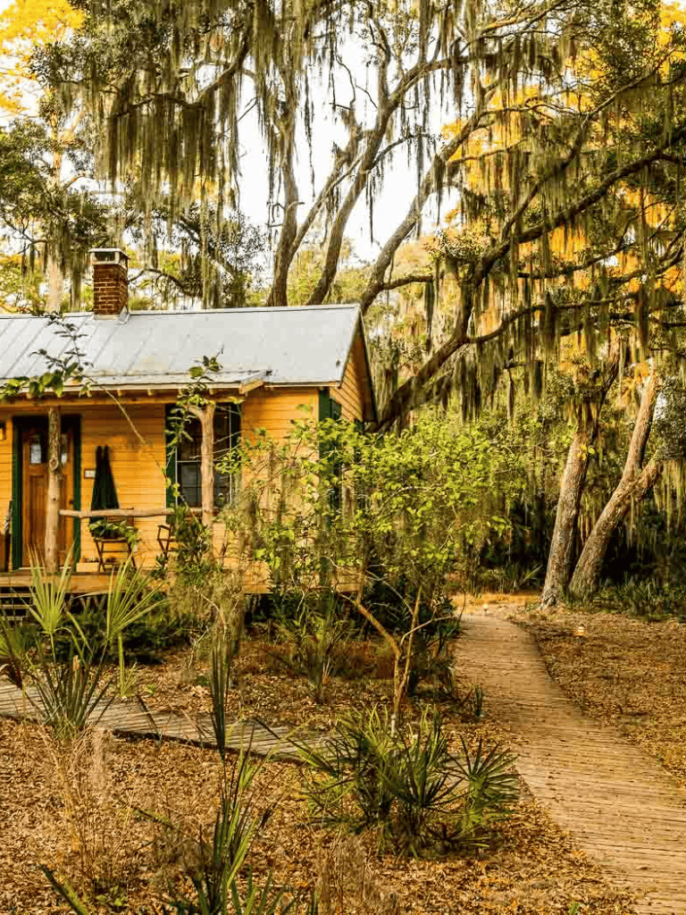 Secluded cabin in lush, green woods with Spanish moss, perfect for nature retreats and outdoor adventures.