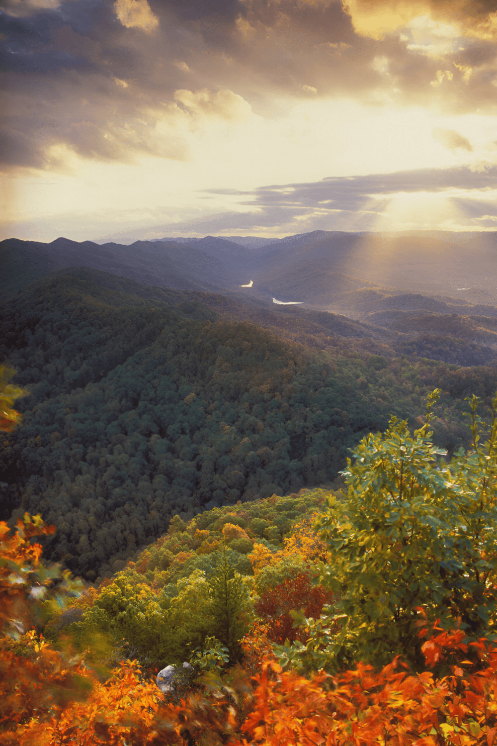 Vibrant autumn mountain landscape with sunset light, scenic view for travel and nature photography.