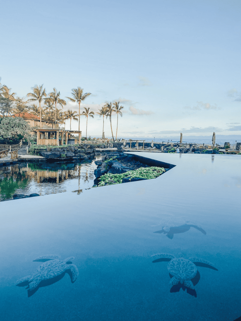 Relaxing tropical resort with infinity pool and sea turtles in Hawaii.