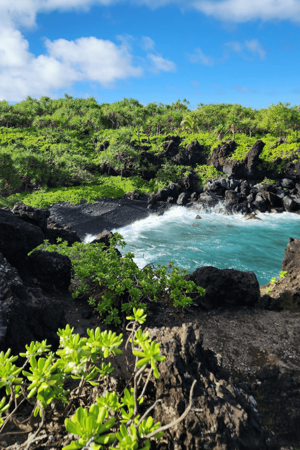 Lush green coastal landscape with black volcanic rocks and turquoise ocean waves under a blue sky.
