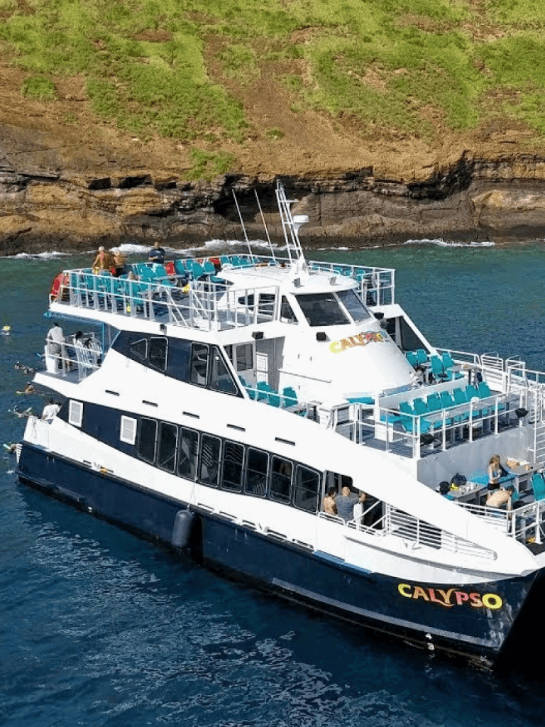 Luxury sightseeing cruise boat on clear ocean waters with scenic coastline in the background.