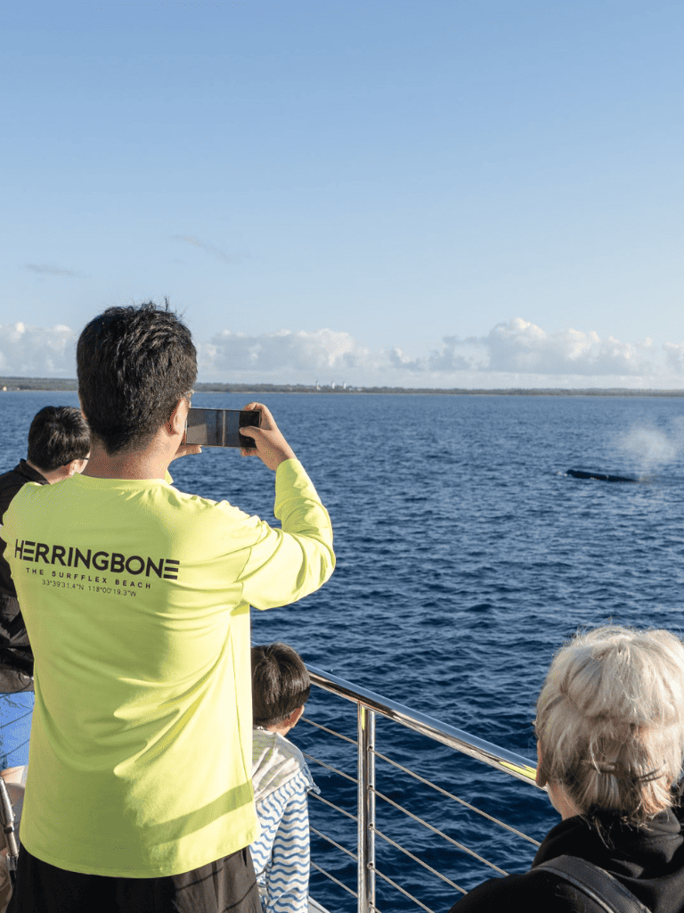Seafarers enjoying a boat tour, photographing the ocean and distant shoreline on a sunny day.