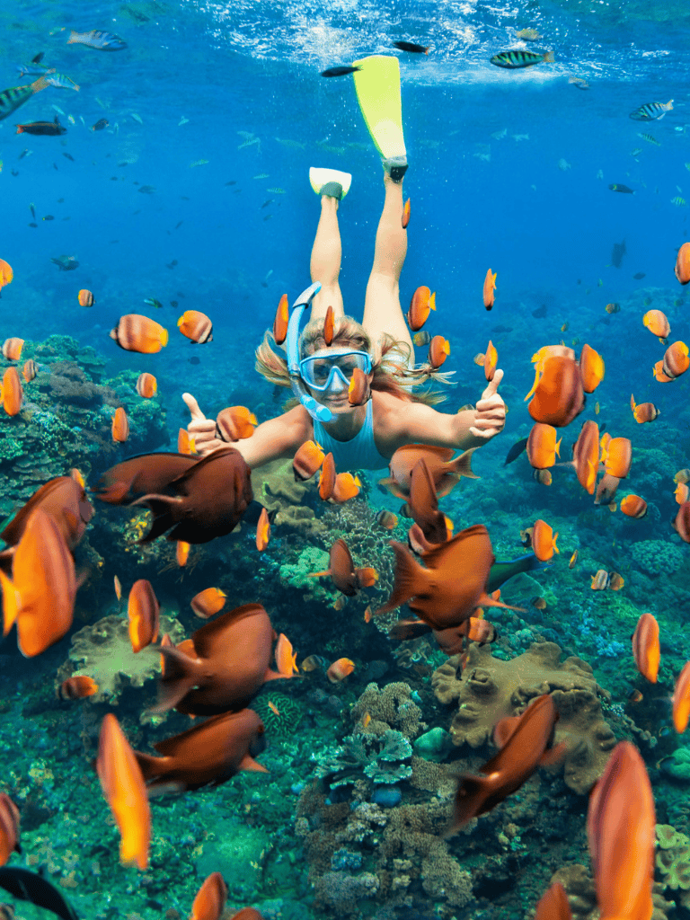 Swimmer snorkeling among vibrant coral reef and colorful fish in crystal-clear ocean water.