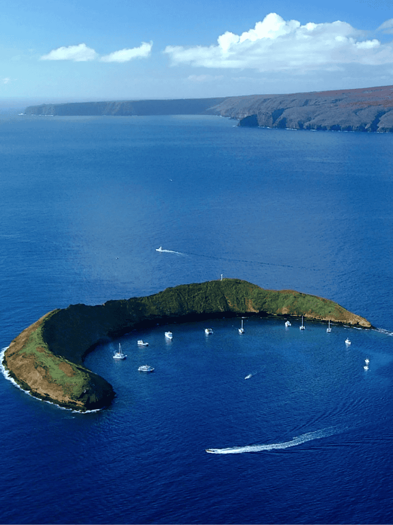 Secluded harbor with sailboats and lush green cliffs overlooking the ocean.