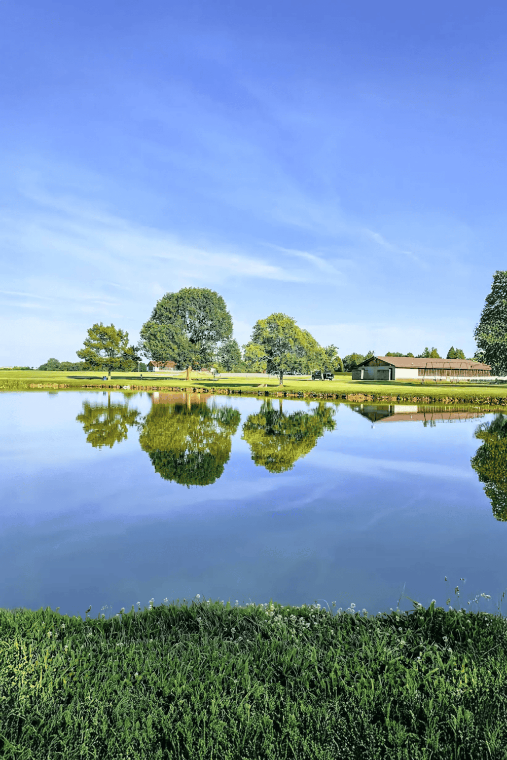 Serene landscape with a calm pond, lush green trees, and clear blue sky, perfect for outdoor adventures and nature exploration.