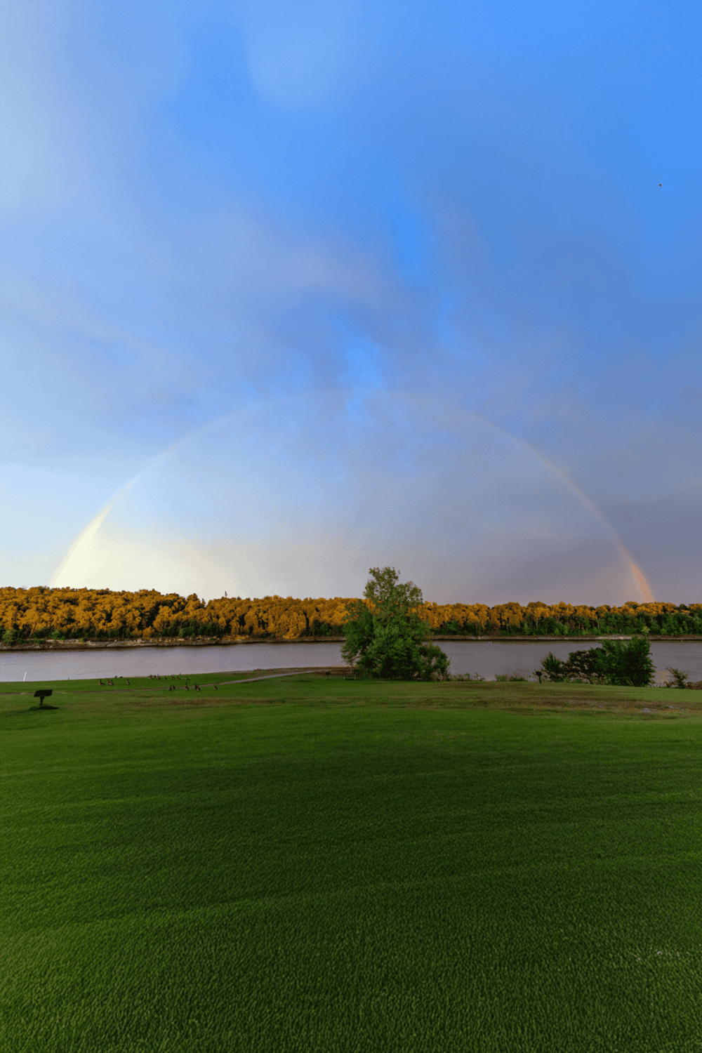 Vibrant rainbow over lush green golf course by the river, scenic outdoor landscape.