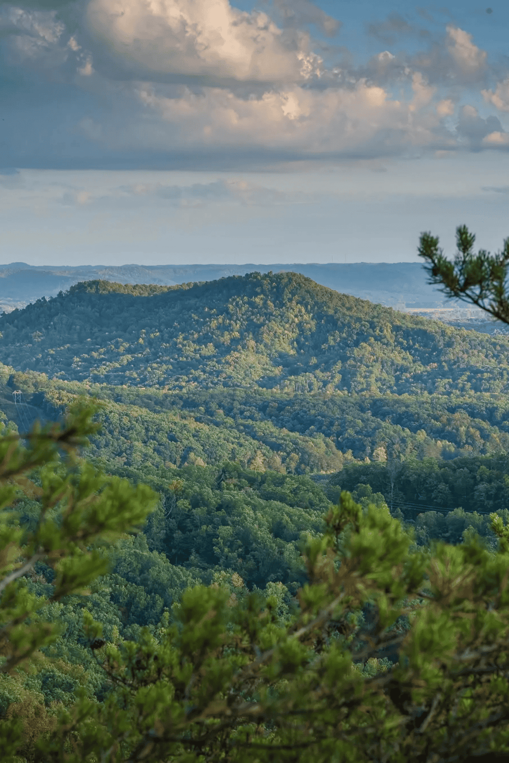 Mountains and lush forest landscape for outdoor adventure and nature exploration.