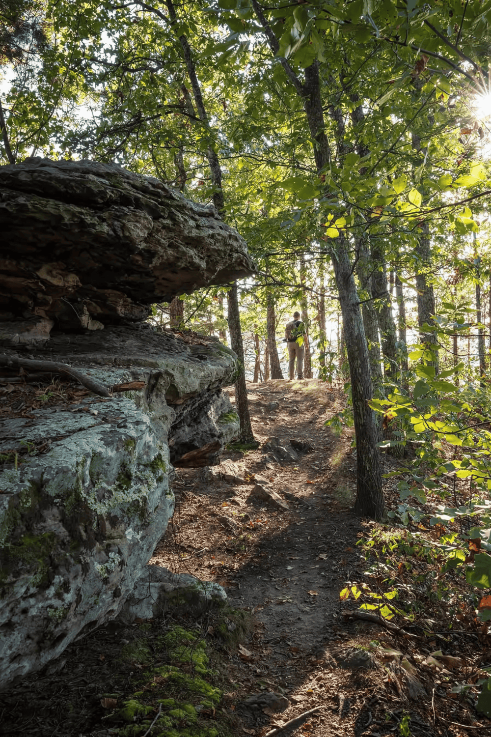 Hiking trail in forest with hiker exploring nature and scenic views for adventure travel.