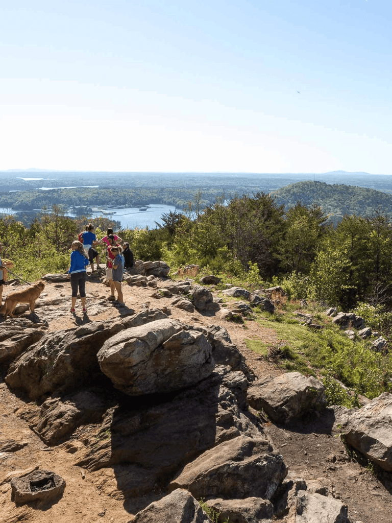 Breathtaking scenic view from hiking trail with group of hikers and dogs in nature, overlooking river and forest.