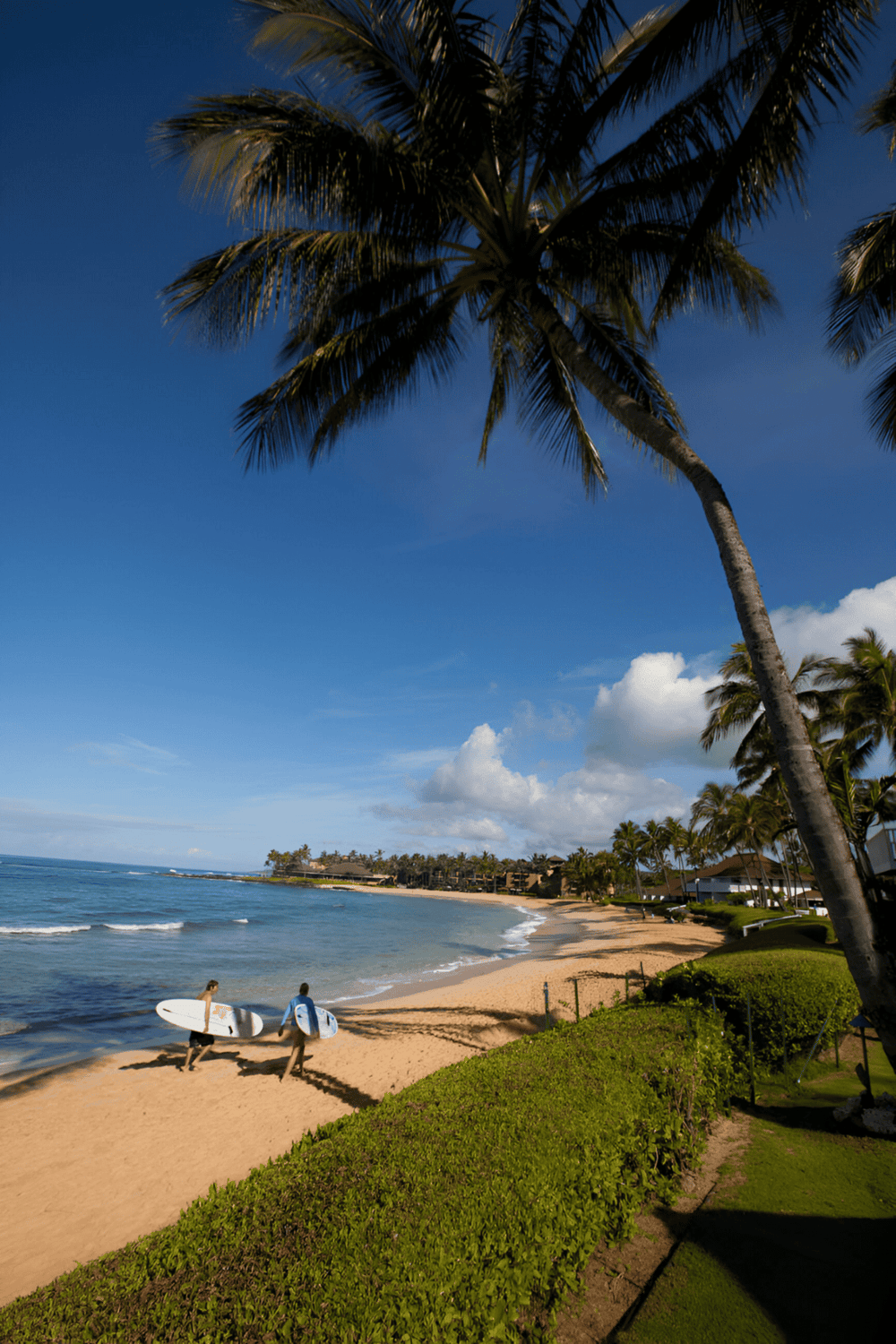 Sunny beach with palm trees and surfers, perfect for vacation and outdoor activities.