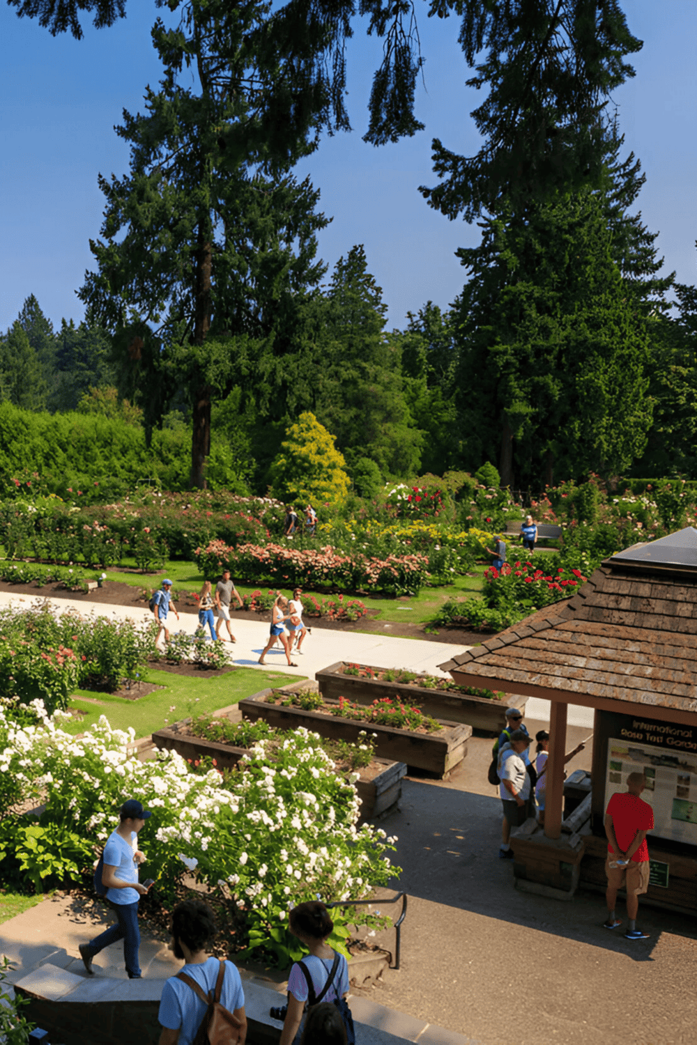 Lush botanical garden with visitors exploring scenic paths and vibrant flowering plants in a peaceful outdoor setting.