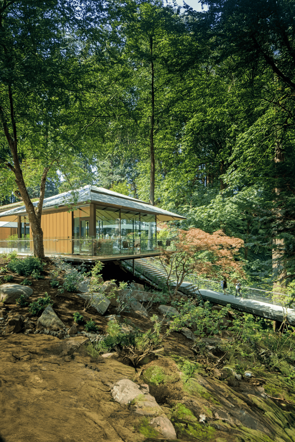 Serene modern glass cabin in lush green forest with scenic walkway for nature exploration.