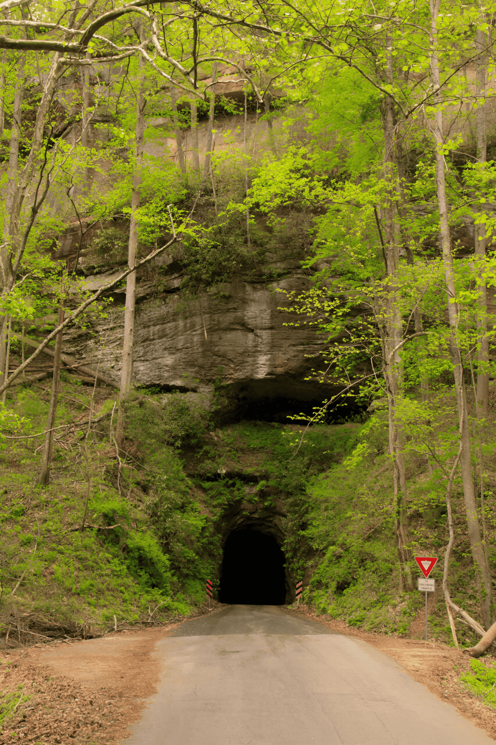 Ancient rock tunnel surrounded by lush green trees in a forest setting.