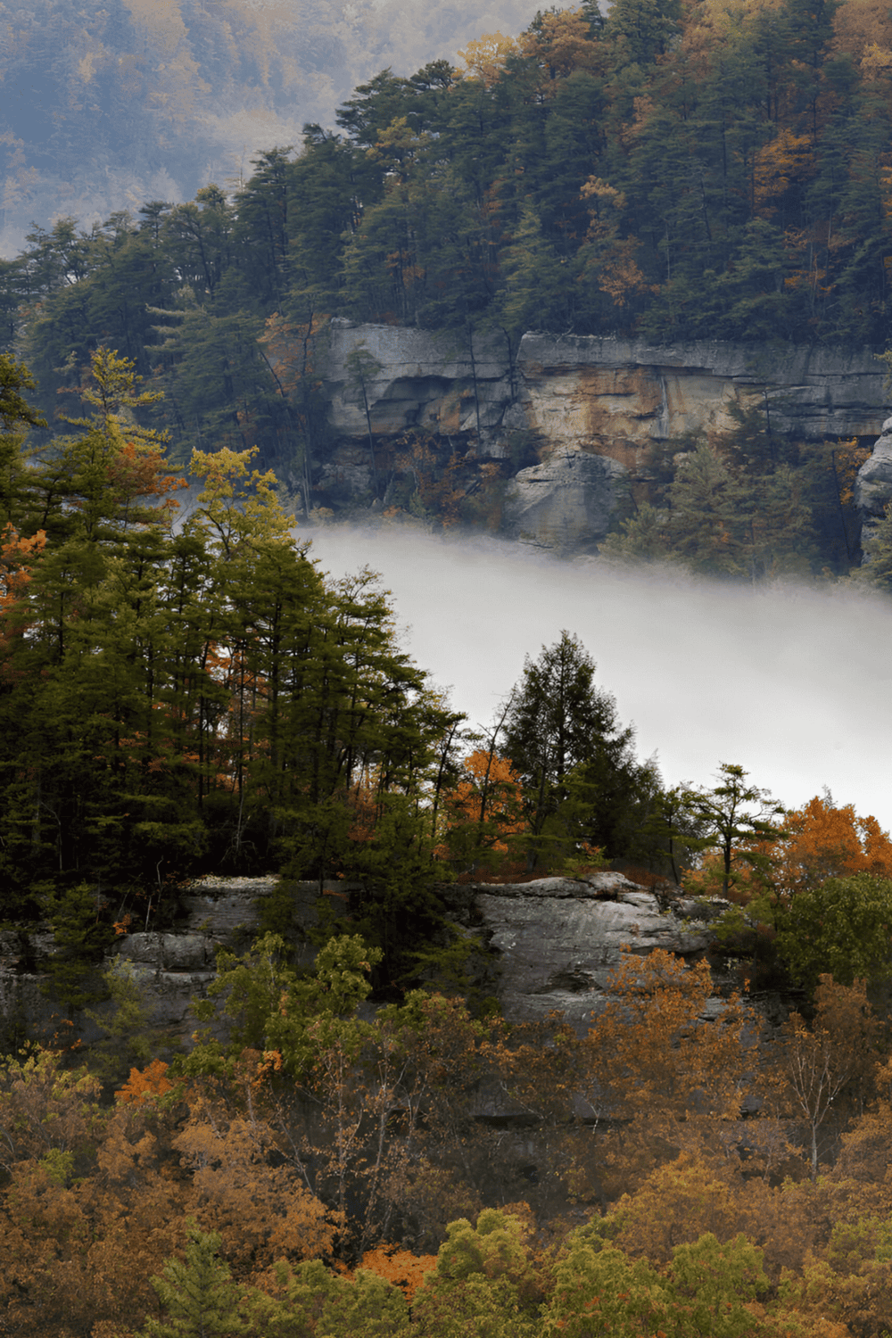 Vibrant autumn forest with misty mountain cliffs and colorful foliage, scenic landscape for nature lovers.