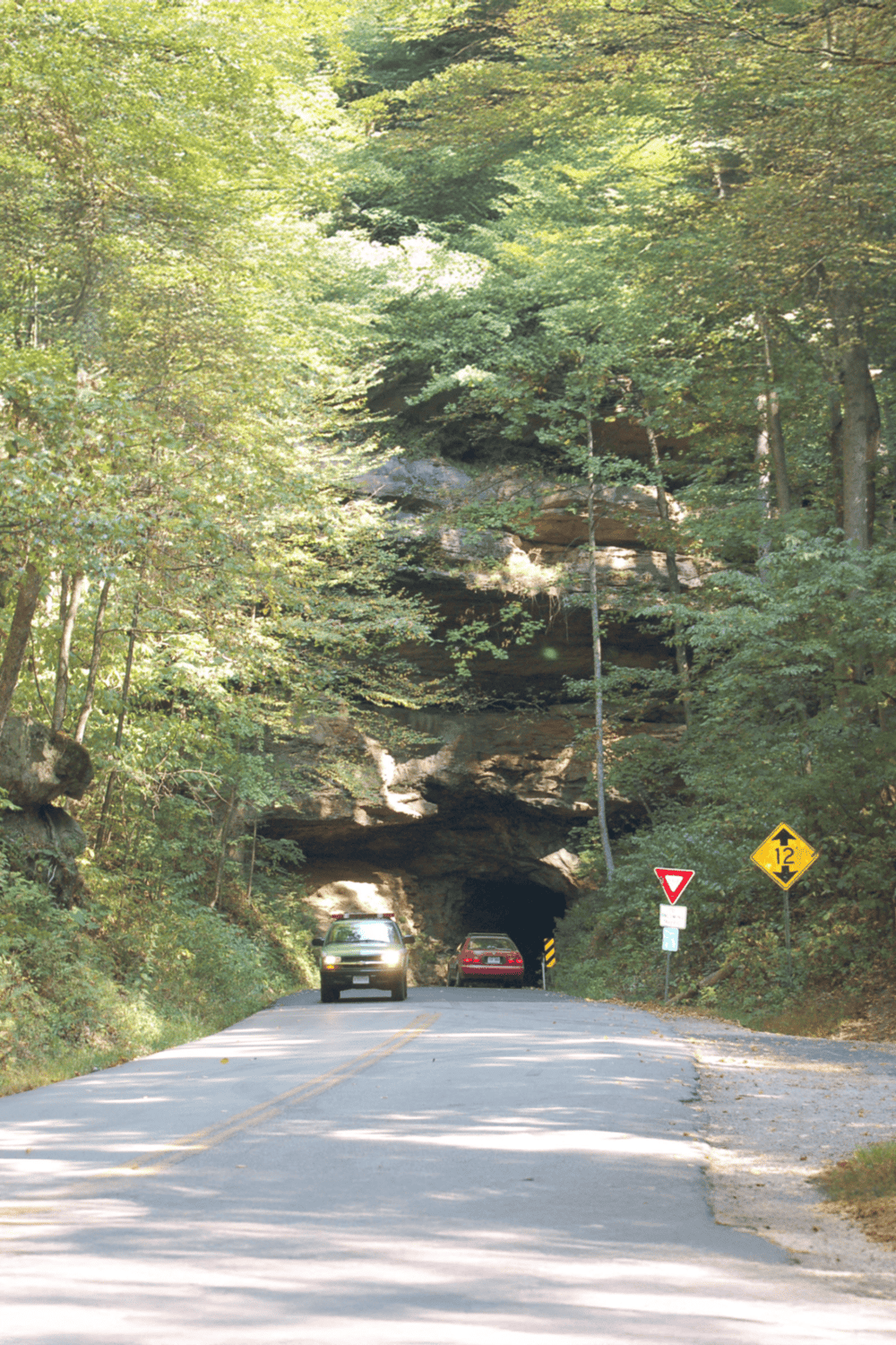 Untamed forest road leading to cave entrance, adventure, nature exploration, Scenic drive, outdoor activity.