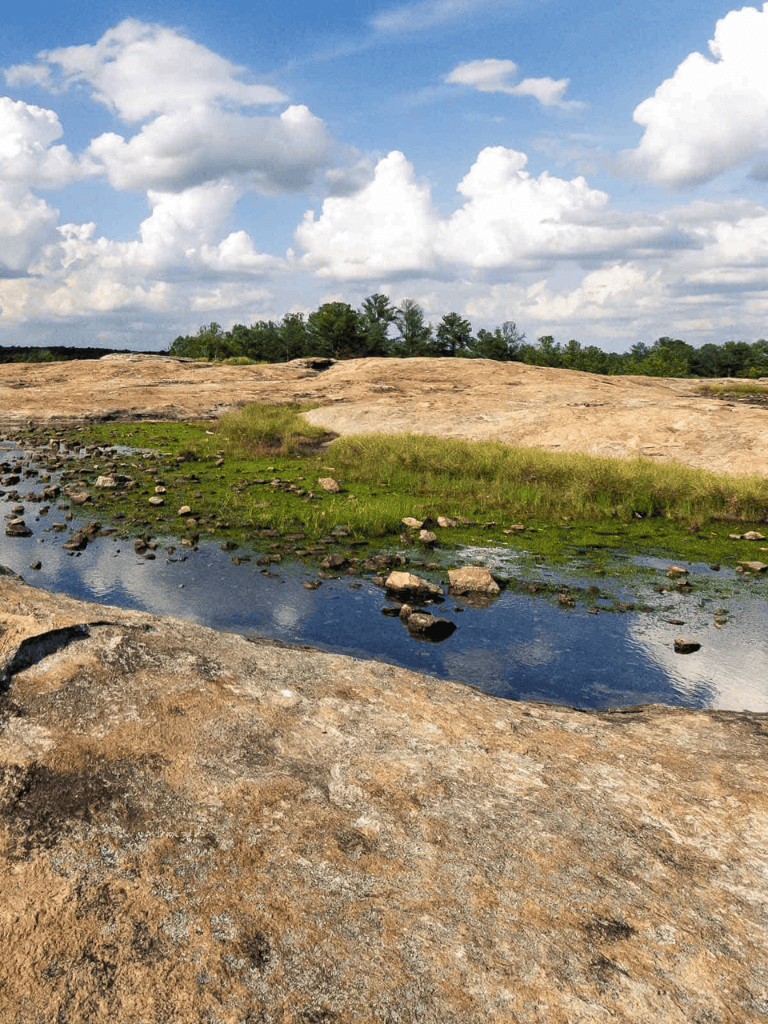 Serene natural landscape featuring rocks, small pond, green grass, and blue sky with clouds.