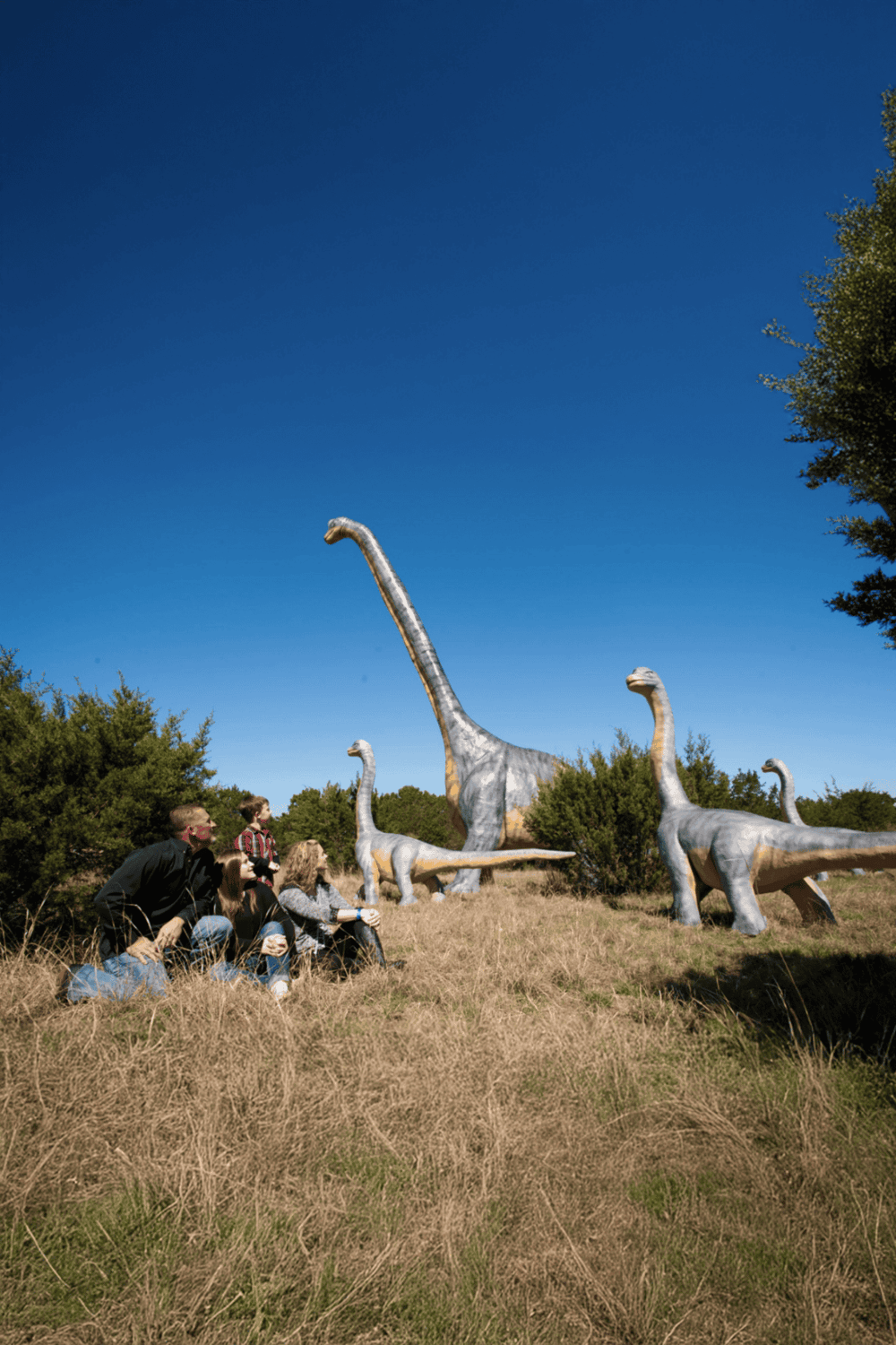 Giant dinosaur sculptures outdoors with people visiting, promotional for family fun at Quest for Directions.