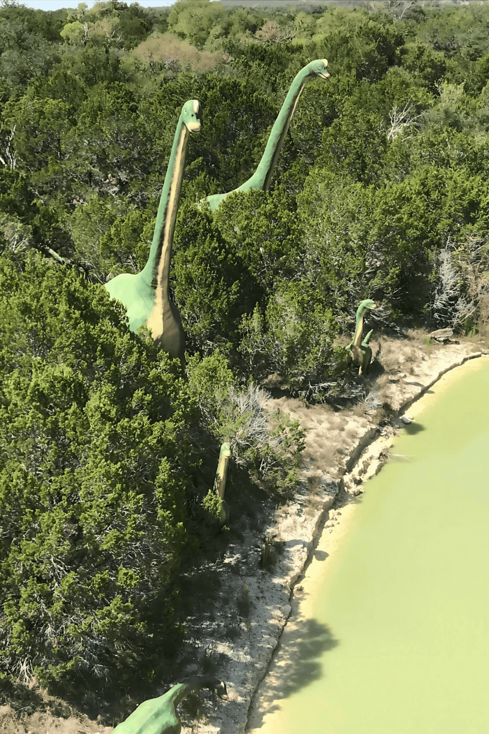 Dinosaurs by water - Jurassic-themed park exhibit with life-sized dinosaur sculptures near pond.