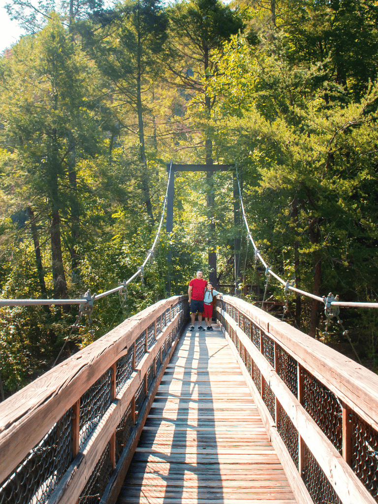 Vibrant forest suspension bridge crossing with a parent and child enjoying nature.