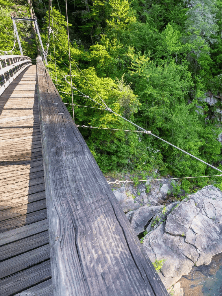 Suspension bridge over lush green forest with rocky terrain below.