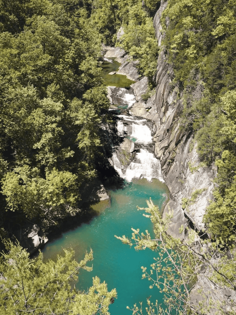 Serene river cascading through lush green forest in scenic canyon for outdoor adventure.