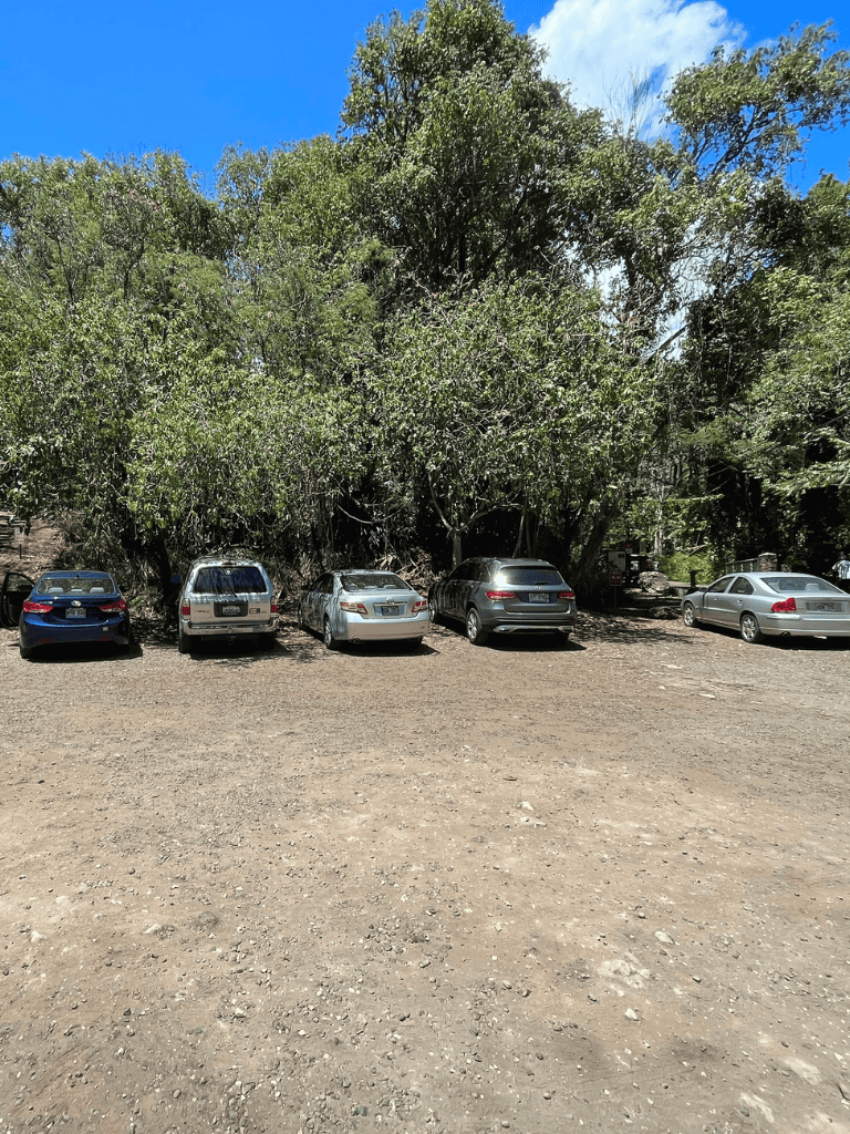 Car parking area near lush green trees on a sunny day, ideal for outdoor adventures.