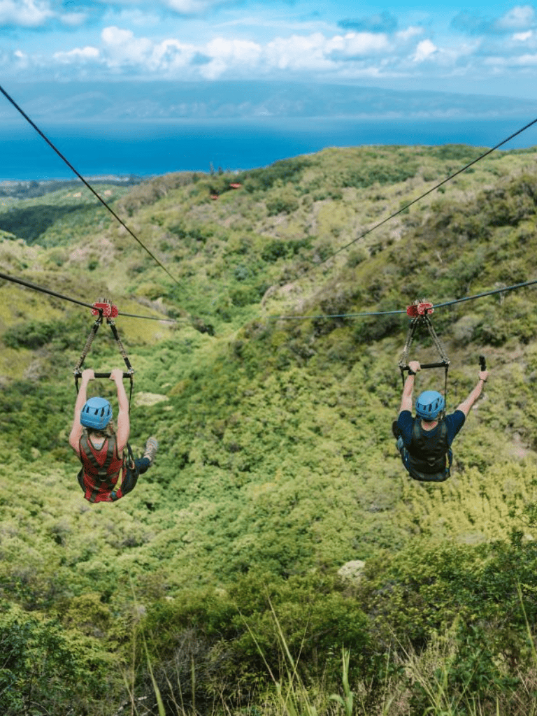 Thrilling zipline adventure over lush green mountains with ocean view and blue sky.