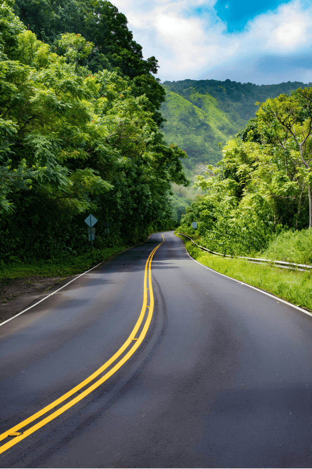 Road through lush green forest with mountains, scenic driving route, outdoor adventure, travel navigation, QuestForDirections.