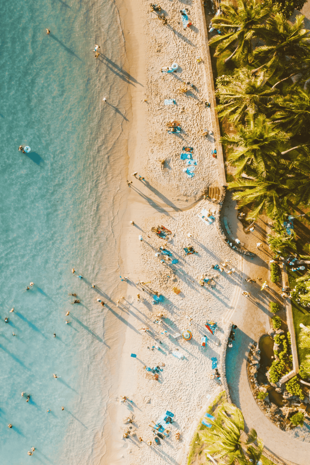 1. Beach with palm trees, sun umbrellas, and people enjoying sunny day by the ocean.