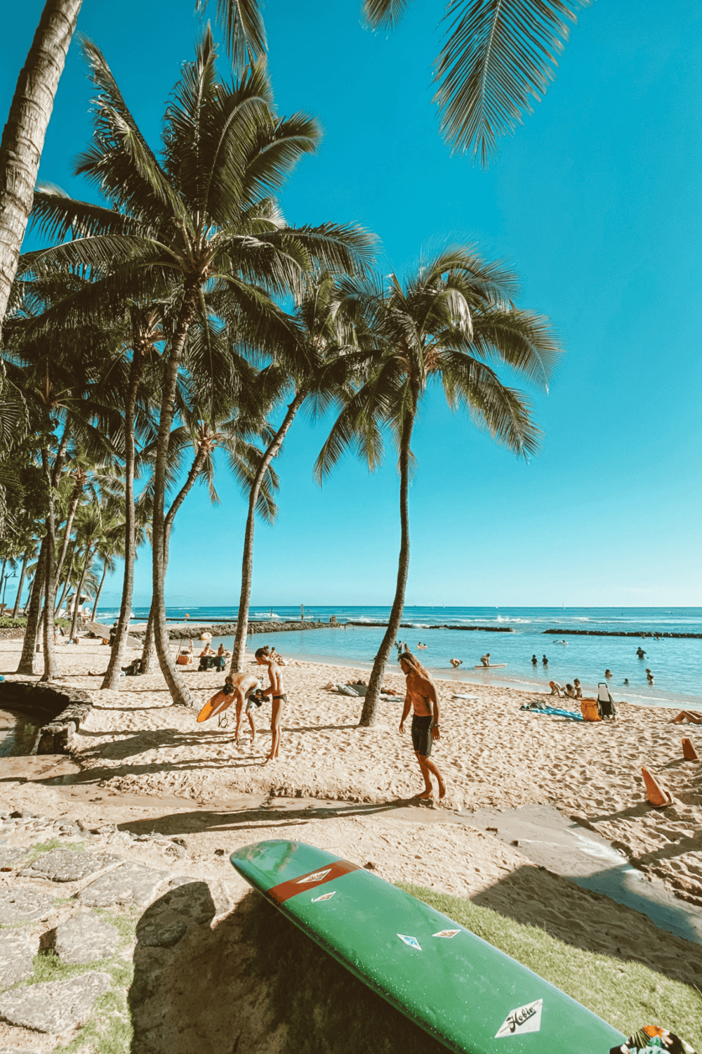 1. Beach with palm trees, surfing, and ocean view for tropical vacation inspiration.