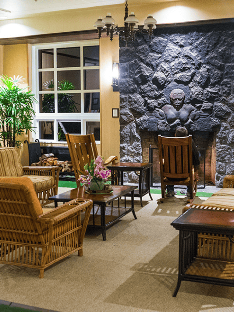 Warm cozy lounge with stone fireplace, wooden furniture, and indoor greenery, perfect for relaxation and conversation.