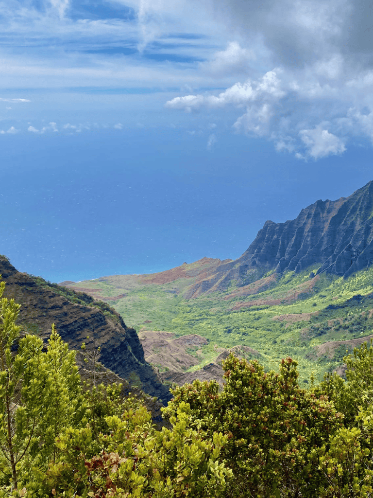 Breathtaking mountain scenery with lush greenery and ocean view in the background.
