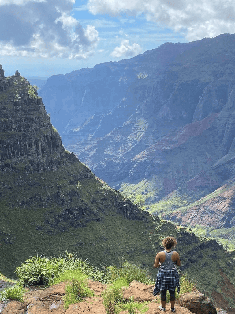 Hiker overlooking lush canyon landscape with steep cliffs and vibrant greenery.