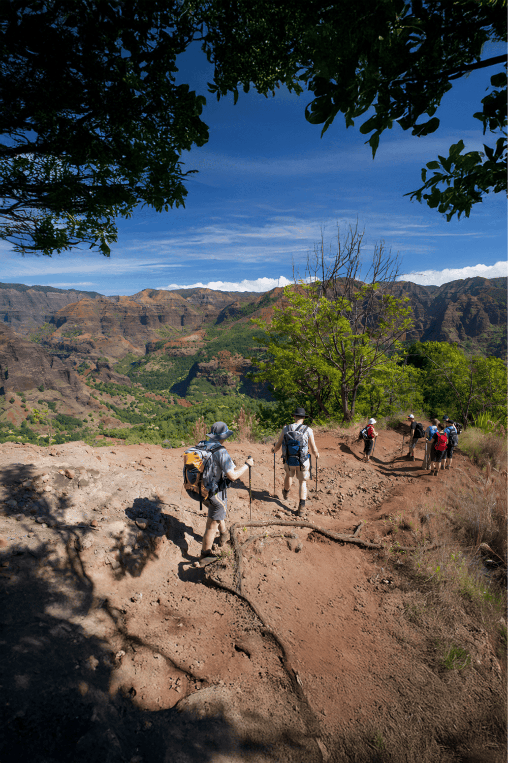 Hiking trail in Grand Canyon with group of hikers, scenic mountain views, blue sky, lush greenery, outdoor adventure, guided nature tour.