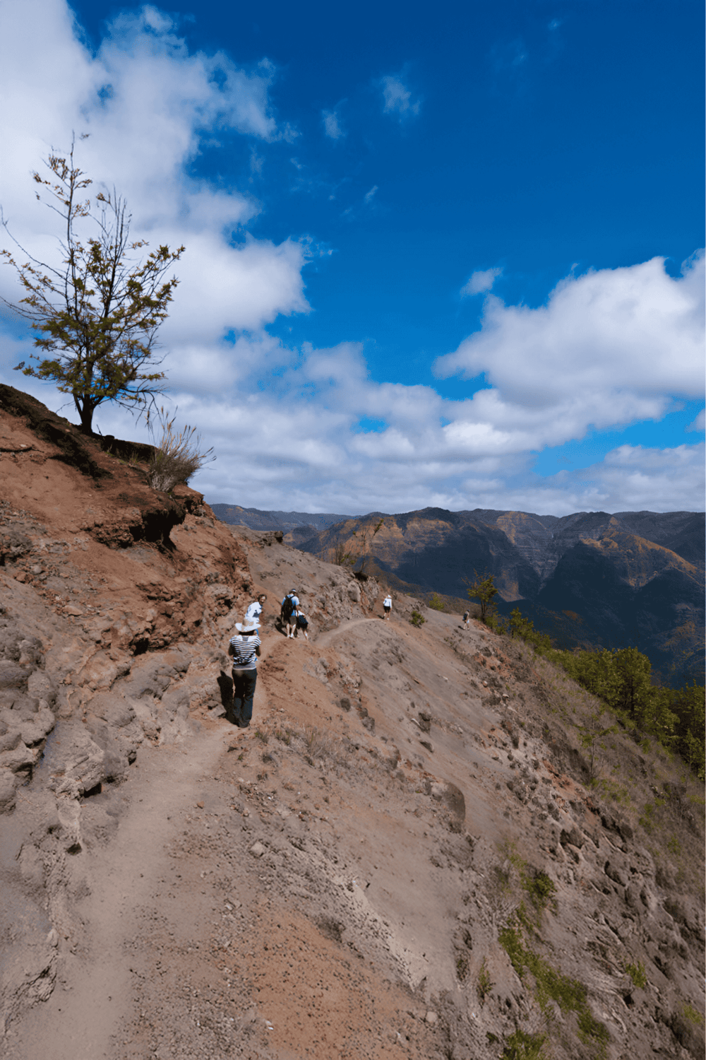 Hiking trail in mountainous terrain with hikers, desert landscape, blue sky, and scenic views.