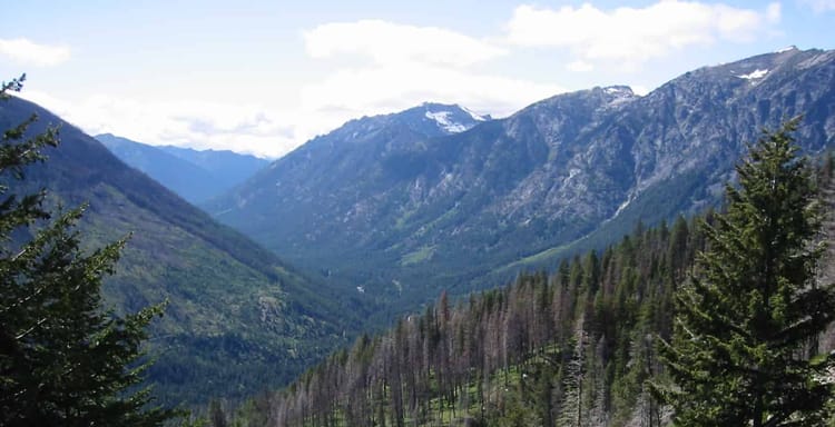 Breathtaking mountain valley with lush greenery, pine trees, and snow-capped peaks under a blue sky.