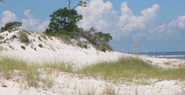 Tranquil white sand dunes with sea grass and blue ocean under a bright sunny sky.